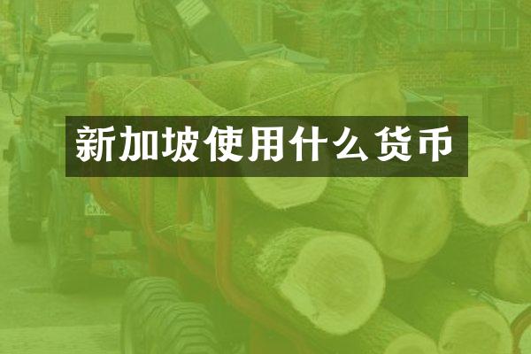 新加坡使用什么货币