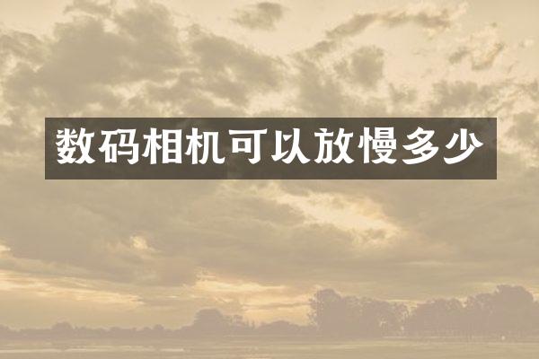 数码相机可以放慢多少