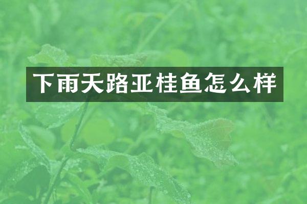 下雨天路亚桂鱼怎么样