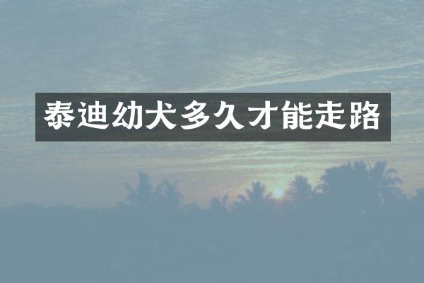 泰迪幼犬多久才能走路