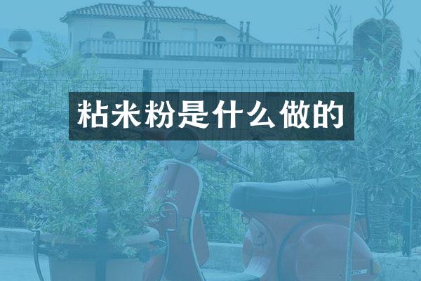粘米粉是什么做的