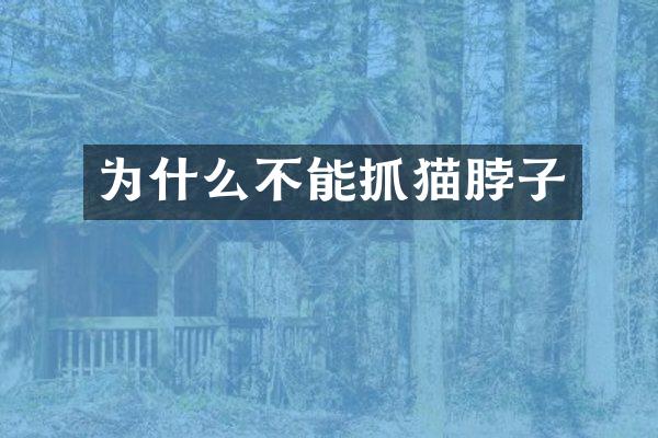 为什么不能抓猫脖子