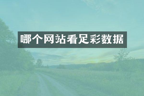 哪个网站看足彩数据