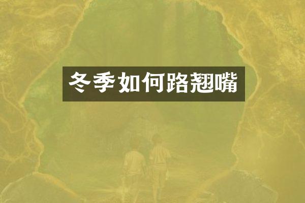 冬季如何路翘嘴