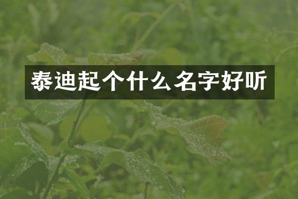 泰迪起个什么名字好听