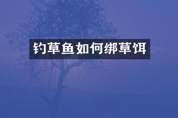 钓草鱼如何绑草饵