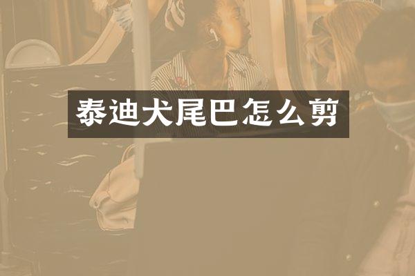 泰迪犬尾巴怎么剪