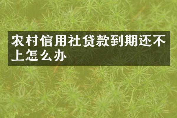 农村信用社贷款到期还不上怎么办