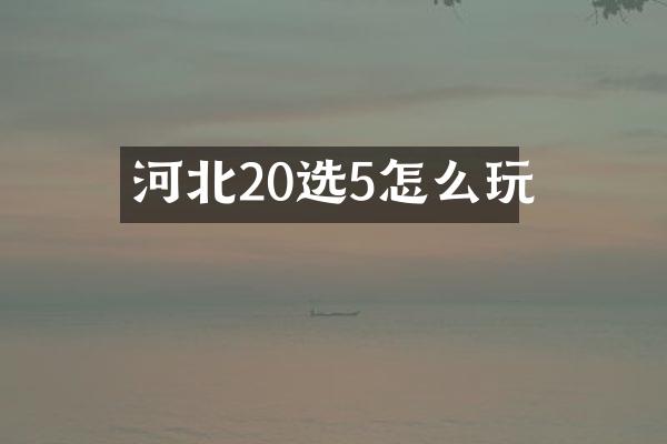 河北20选5怎么玩