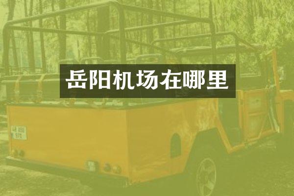 岳阳机场在哪里