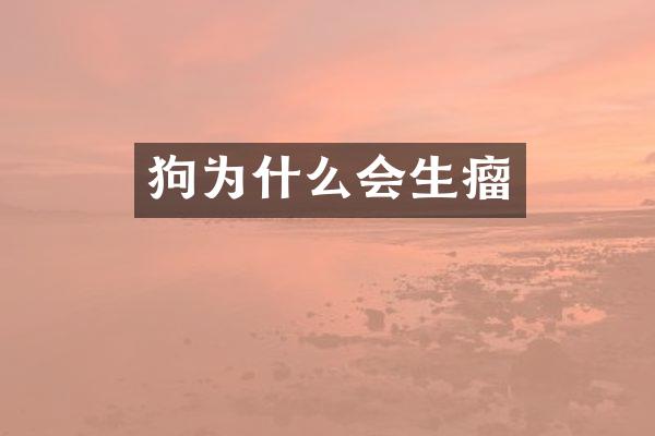 狗为什么会生瘤