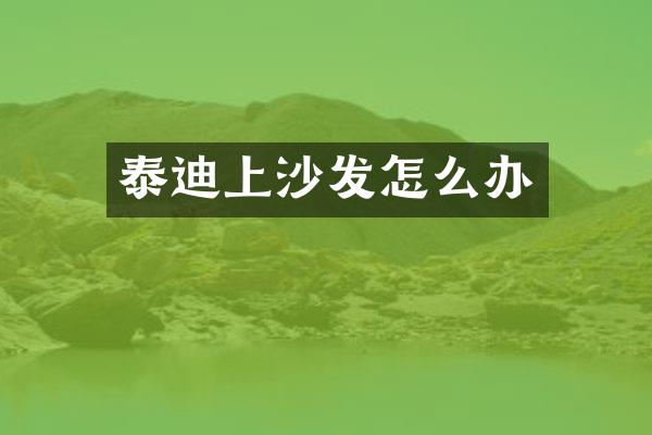 泰迪上沙发怎么办