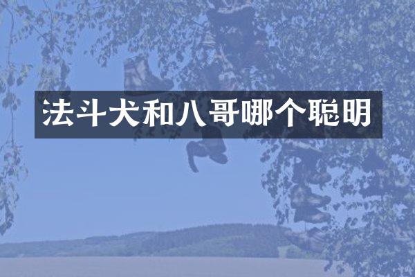 法斗犬和八哥哪个聪明