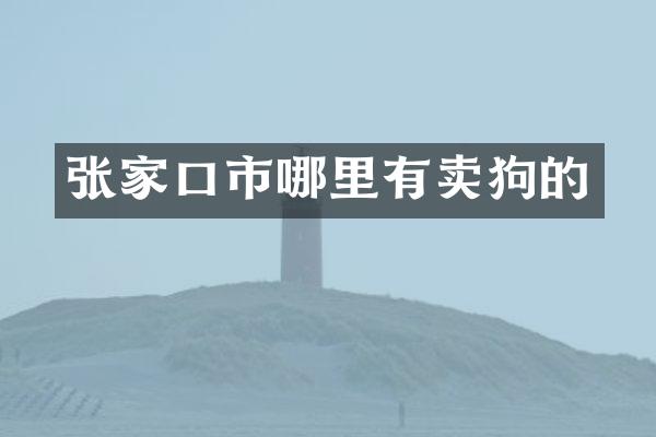 张家口市哪里有卖狗的
