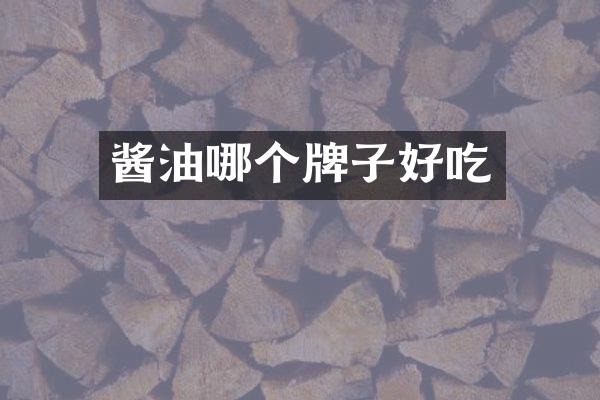 酱油哪个牌子好吃