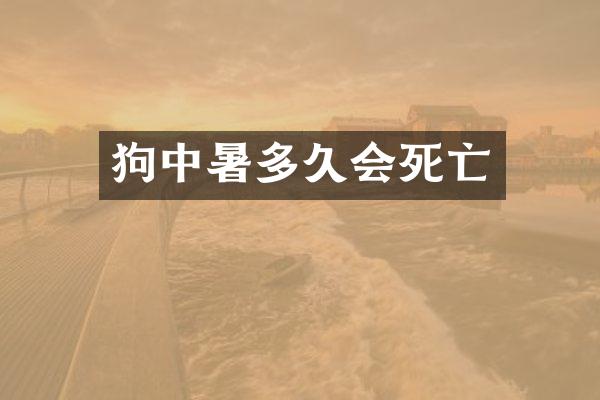 狗中暑多久会死亡