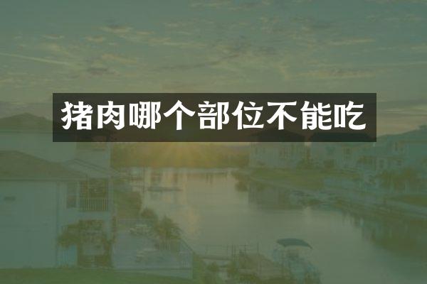 猪肉哪个部位不能吃