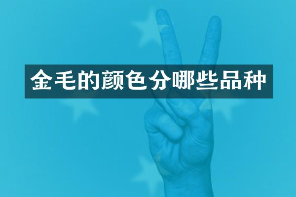 金毛的颜色分哪些品种