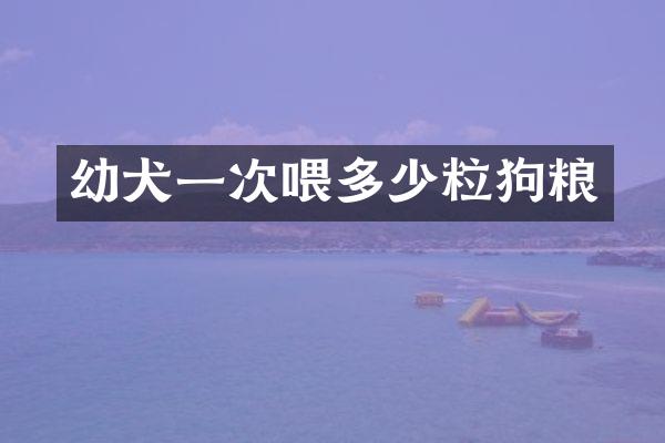 幼犬一次喂多少粒狗粮