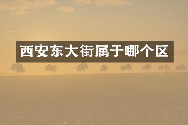 西安东大街属于哪个区