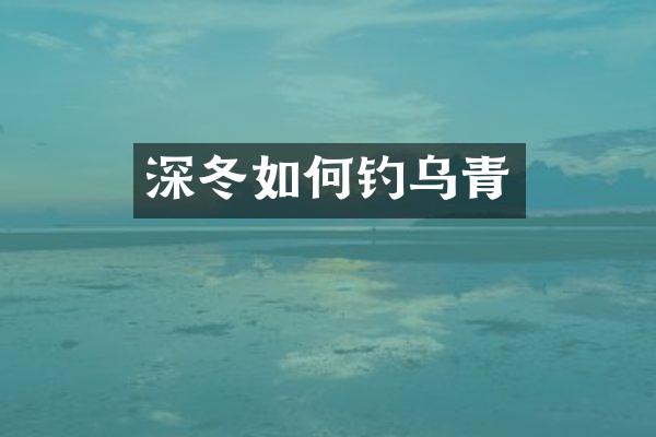 深冬如何钓乌青