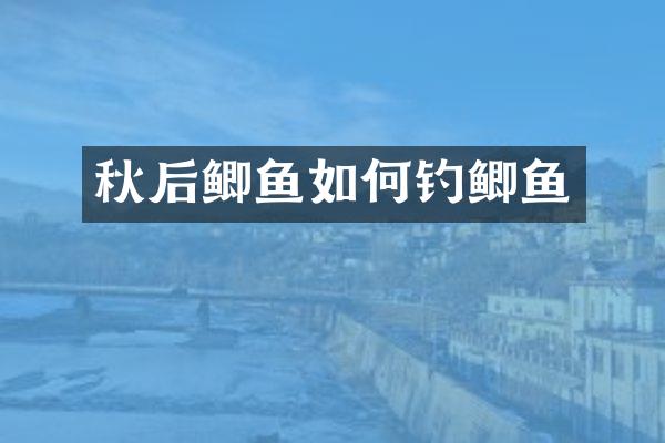 秋后鲫鱼如何钓鲫鱼