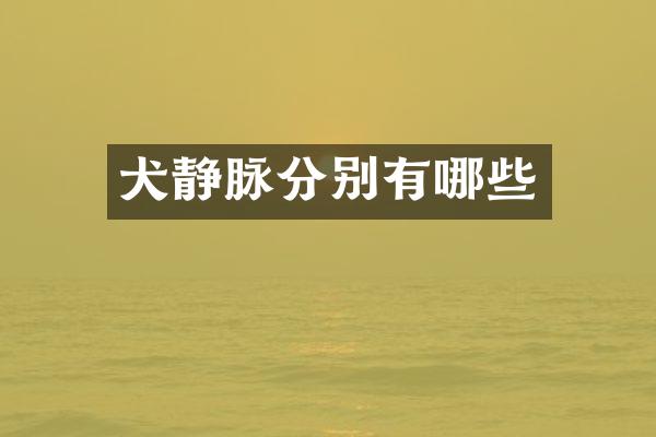 犬静脉分别有哪些