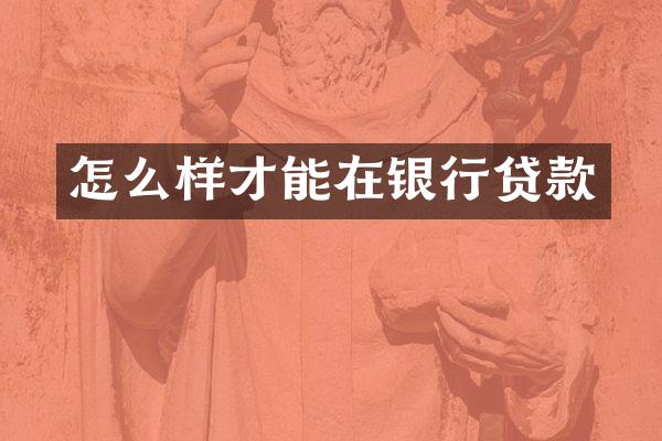 怎么样才能在银行贷款