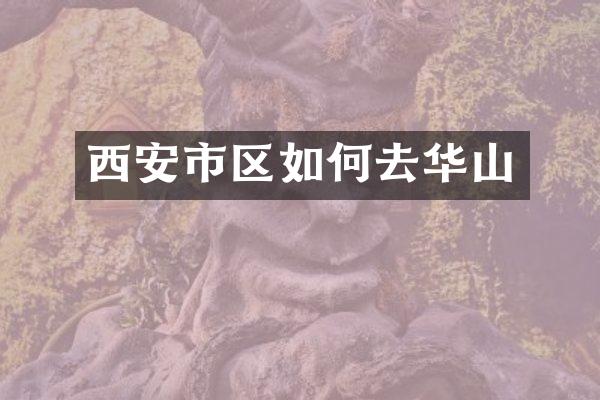 西安市区如何去华山