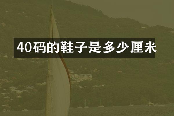 40码的鞋子是多少厘米