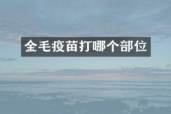 金毛疫苗打哪个部位