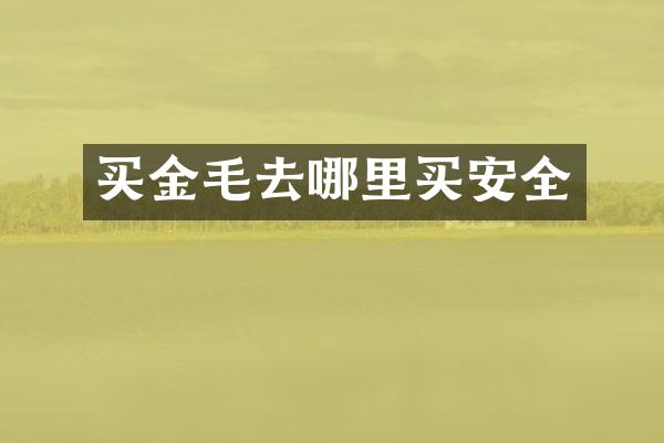 买金毛去哪里买安全