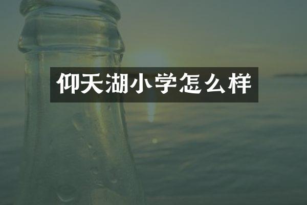 仰天湖小学怎么样