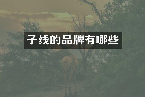 子线的品牌有哪些