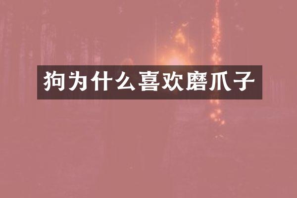 狗为什么喜欢磨爪子