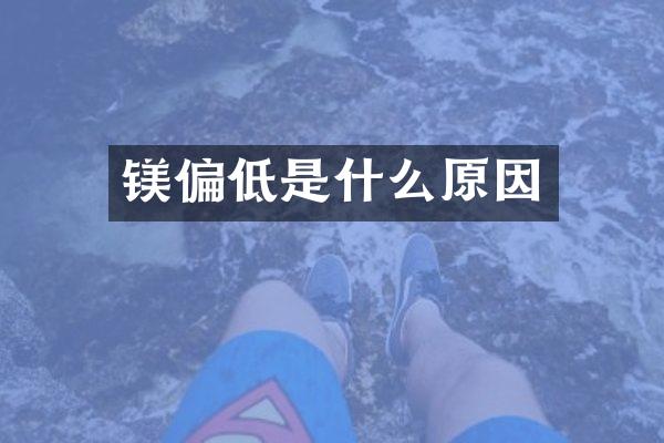 镁偏低是什么原因