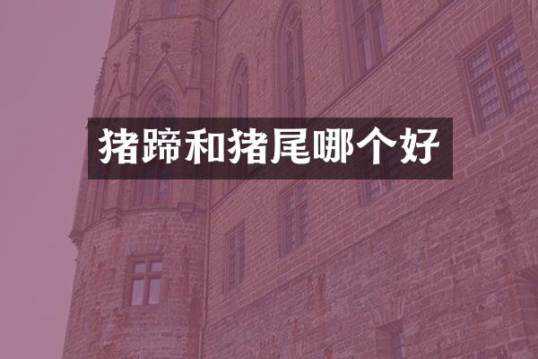 猪蹄和猪尾哪个好