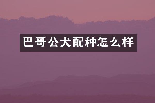 巴哥公犬配种怎么样