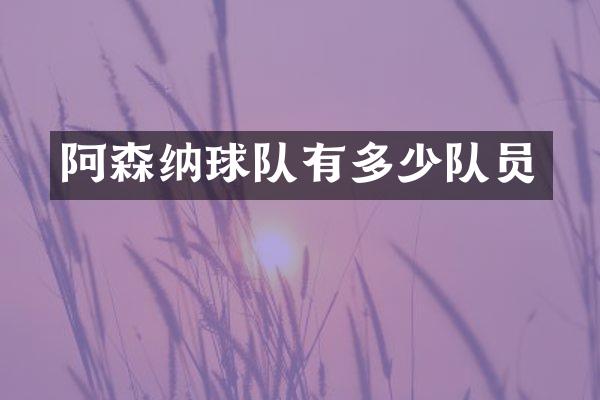 阿森纳球队有多少队员