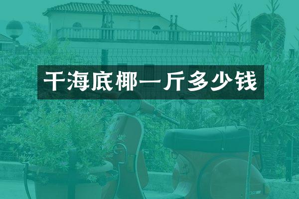 干海底椰一斤多少钱