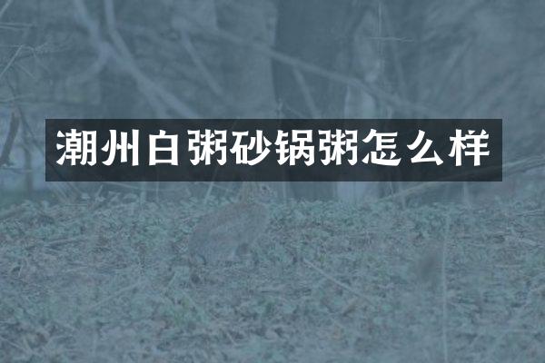 潮州白粥砂锅粥怎么样