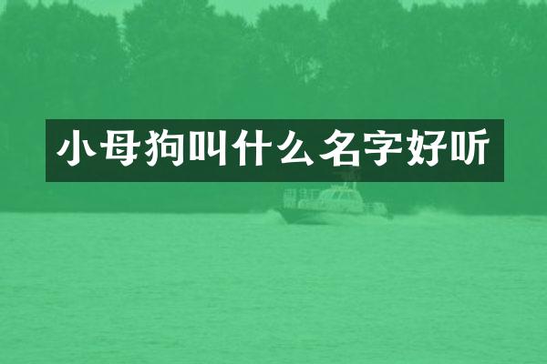 小母狗叫什么名字好听
