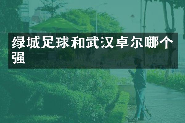 绿城足球和武汉卓尔哪个强