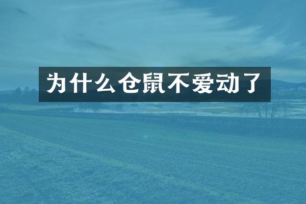 为什么仓鼠不爱动了