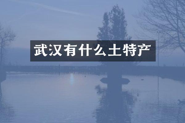武汉有什么土特产