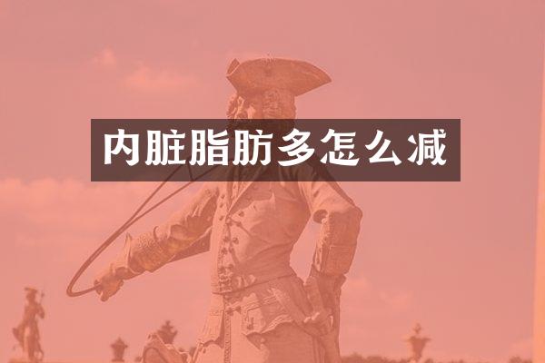 内脏脂肪多怎么减