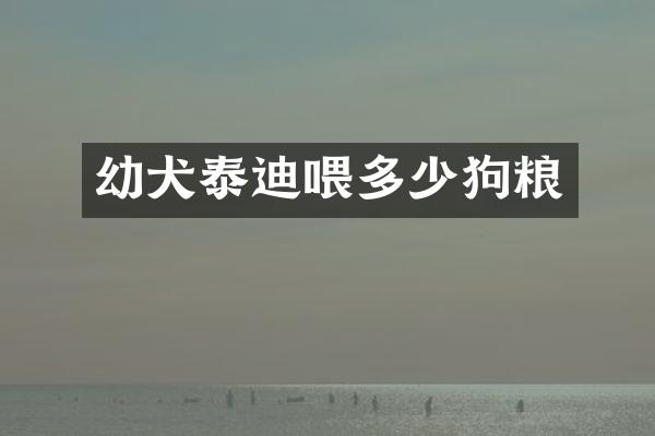 幼犬泰迪喂多少狗粮