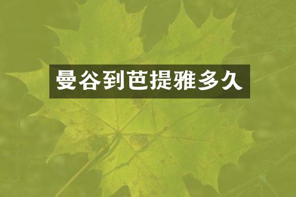 曼谷到芭提雅多久