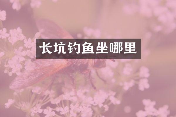 长坑钓鱼坐哪里