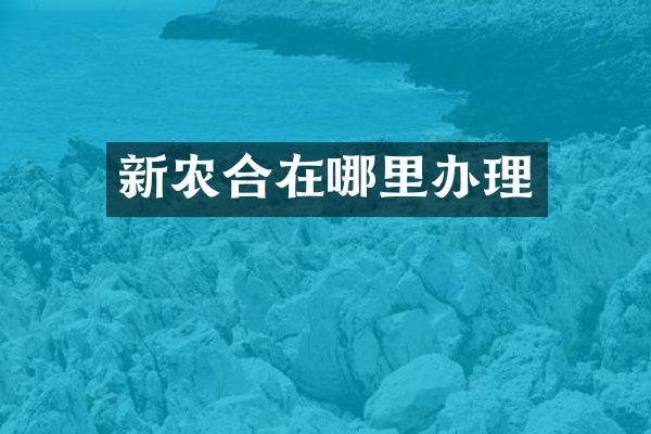 新农合在哪里办理